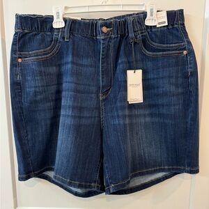 Judy Blue Denim Shorts 3XL